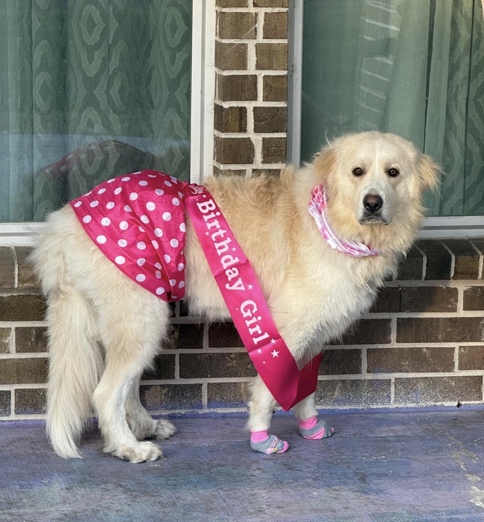 Suki